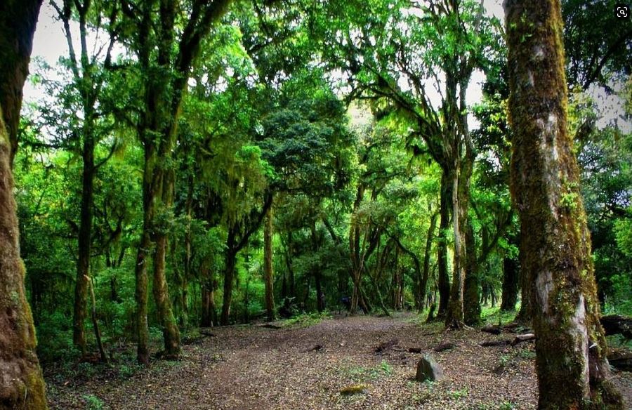 Departamento de Tarija